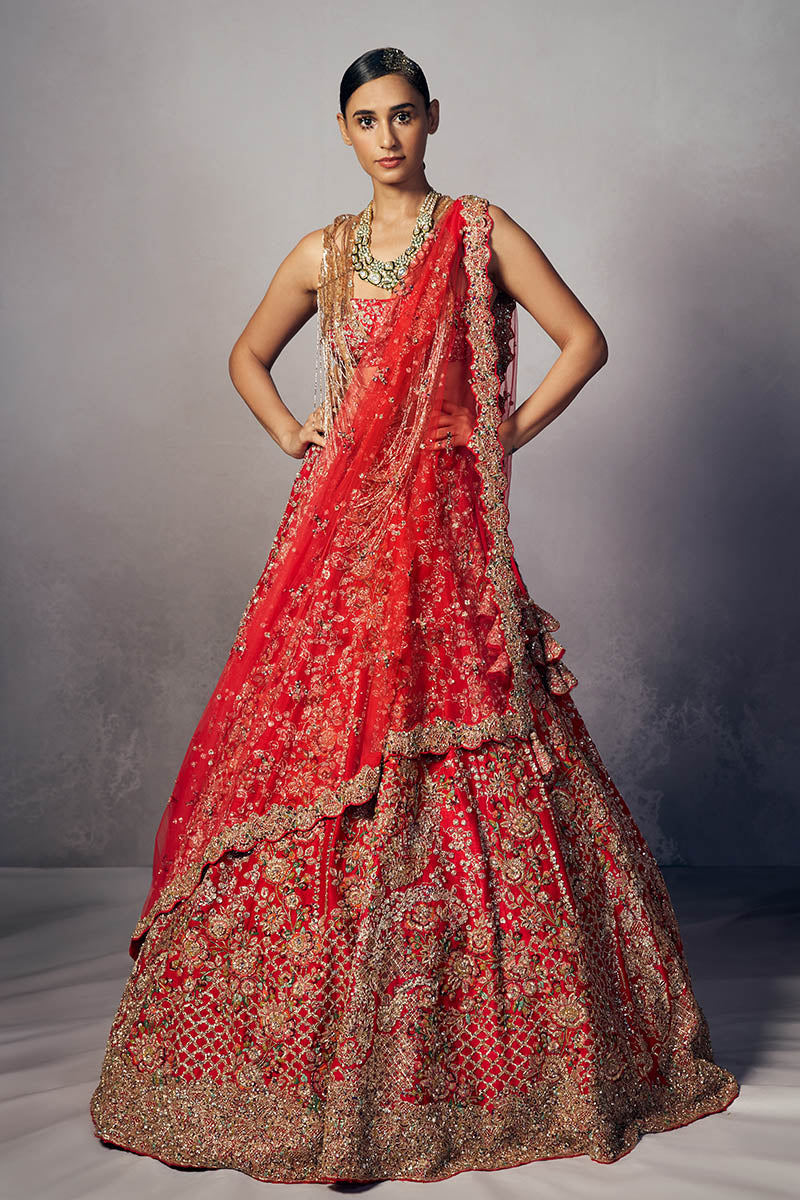 Raya “ Crimson Red floral tendril Bridal lehenga set