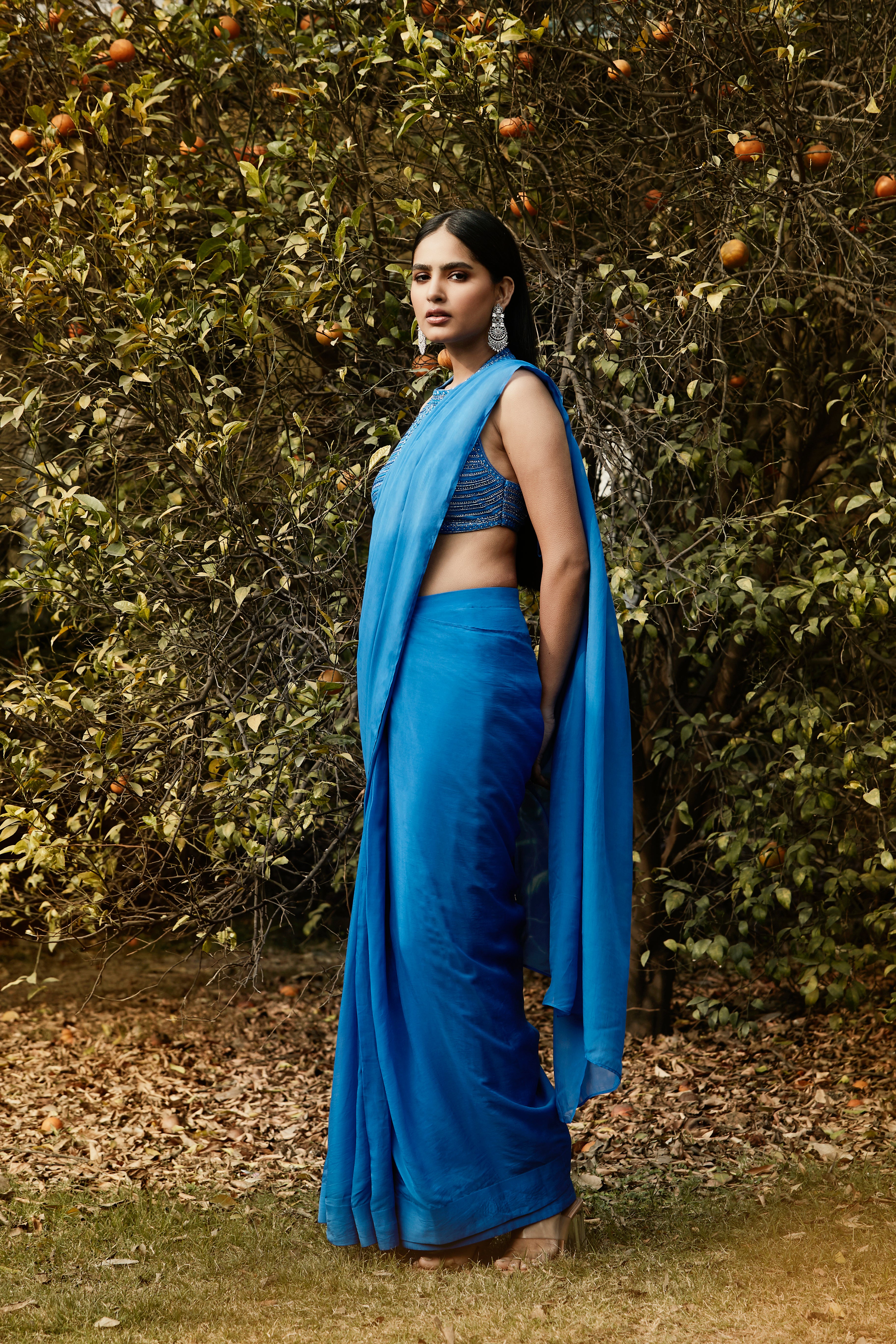 Royal Blue Elegance Draped Saree