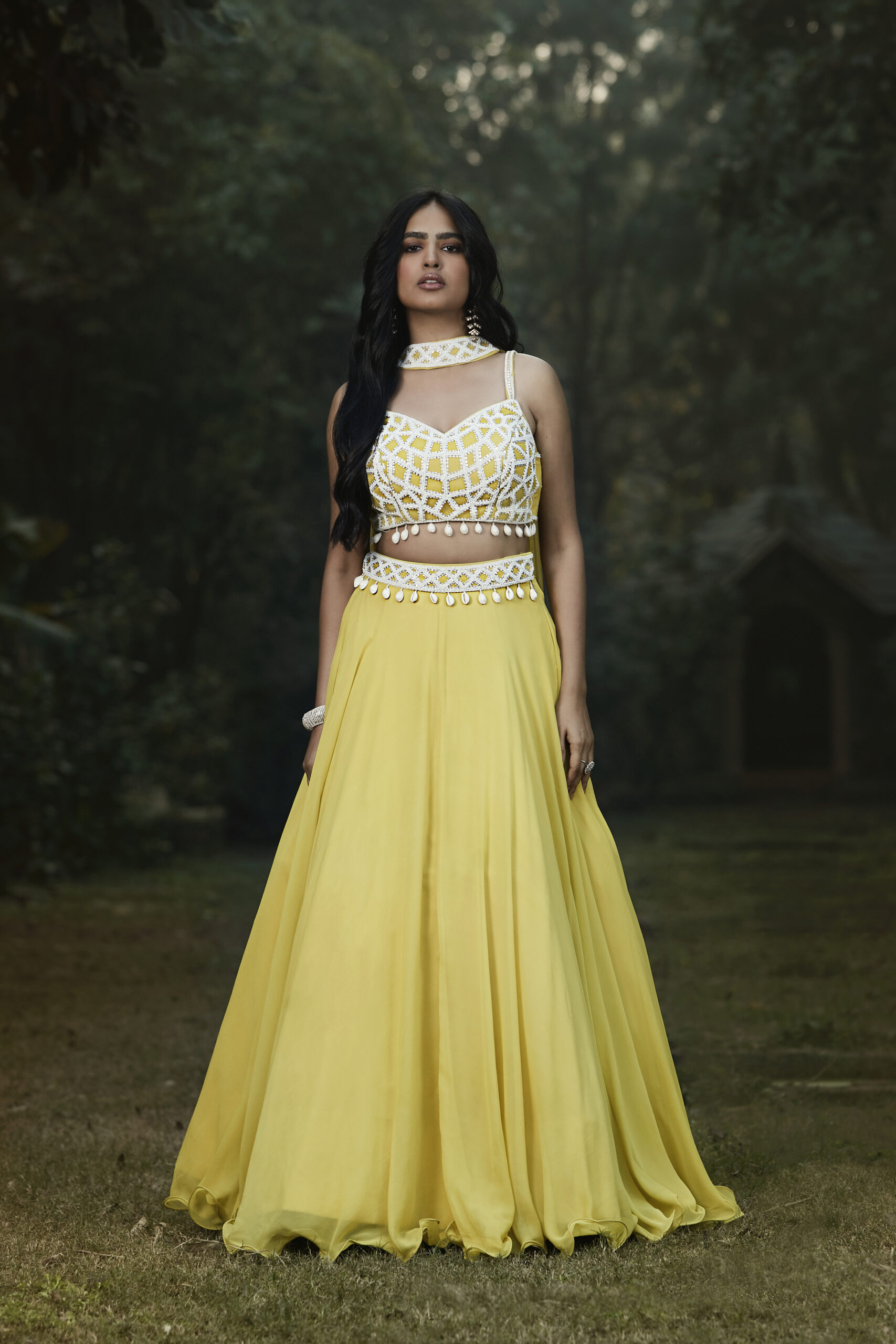 Lime sparkle embroidered lehenga set